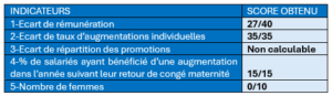 Index de l'égalité professionnelle entre les femmes et les hommes